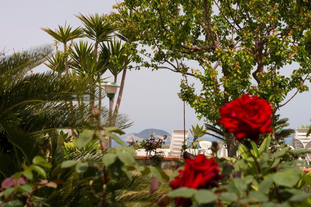 Villa Ersilia Πόντσα Εξωτερικό φωτογραφία
